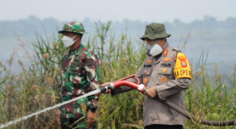 Tinjau Lokasi Karhutla di Desa Bangko Permata, Kapolres Rohil Turun Tangan Memadamkan Api