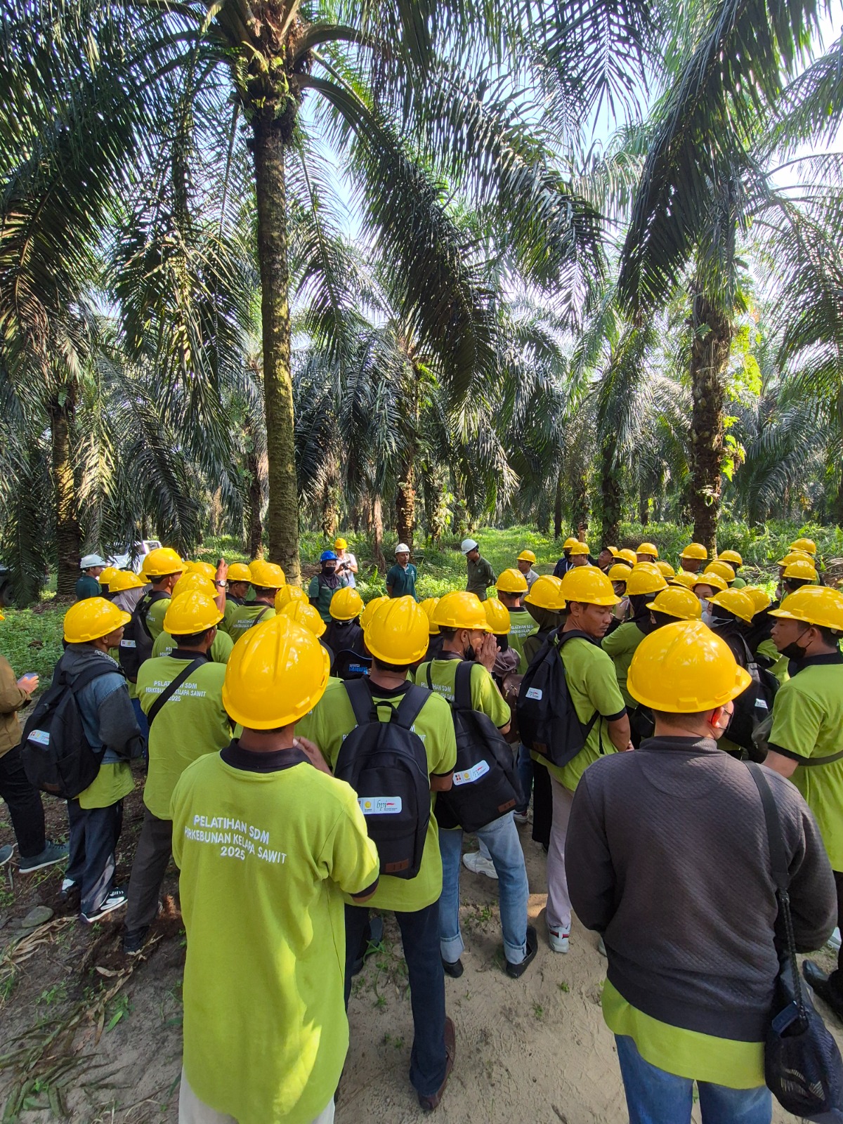 137 Petani Diberi Pembekalan Best Management Practice Di PT KTU
